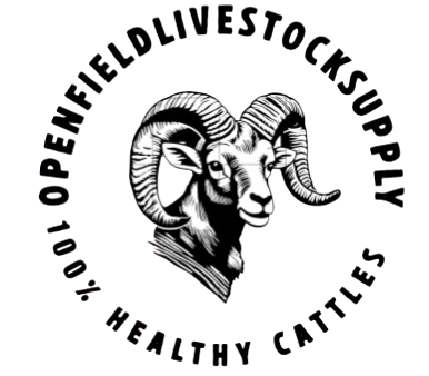 openfieldlivestocksupply